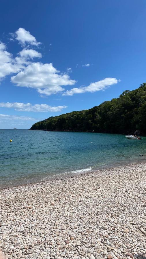 The Bonting Beautiful Three Bed Townhouse Near Harbour And Beach Torquay Eksteriør billede